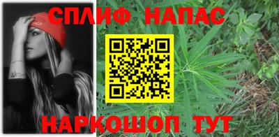 прущие грибы Гусиноозёрск