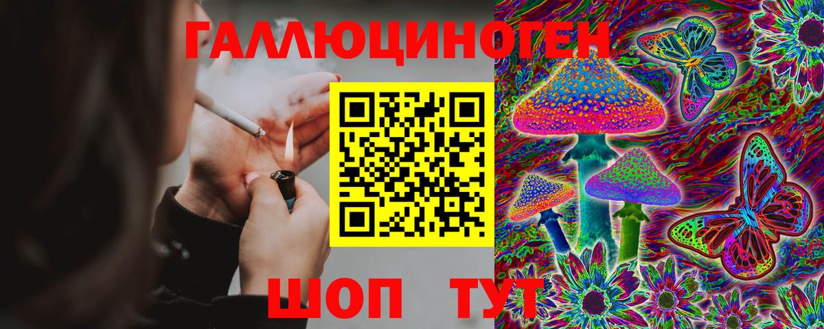 Нарткала  Псилоцибиновые грибы мухоморы  Вход с VPN 